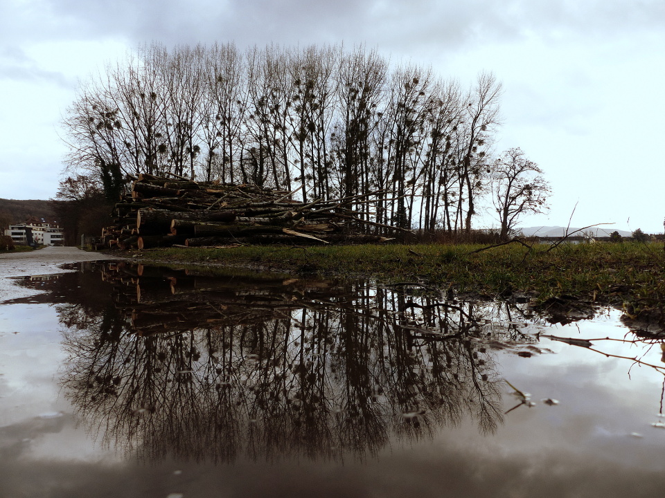 Wet and grey