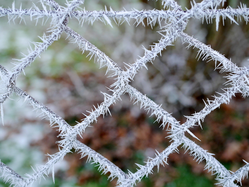  A fantastic frosty morning ...