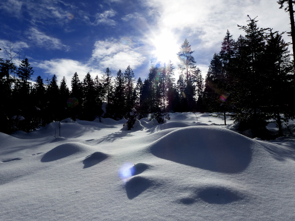  Cross-country skiing in Schwarzwald ...
