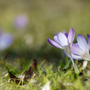 Looks like spring's around ...