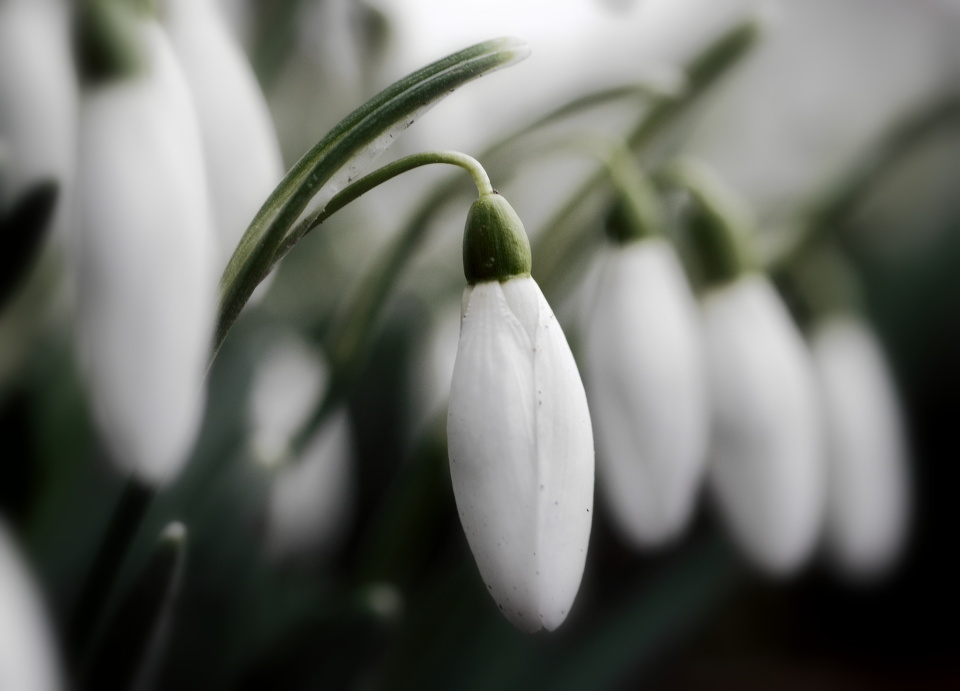  Looks like spring but ...
