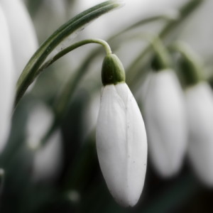  Looks like spring but ...