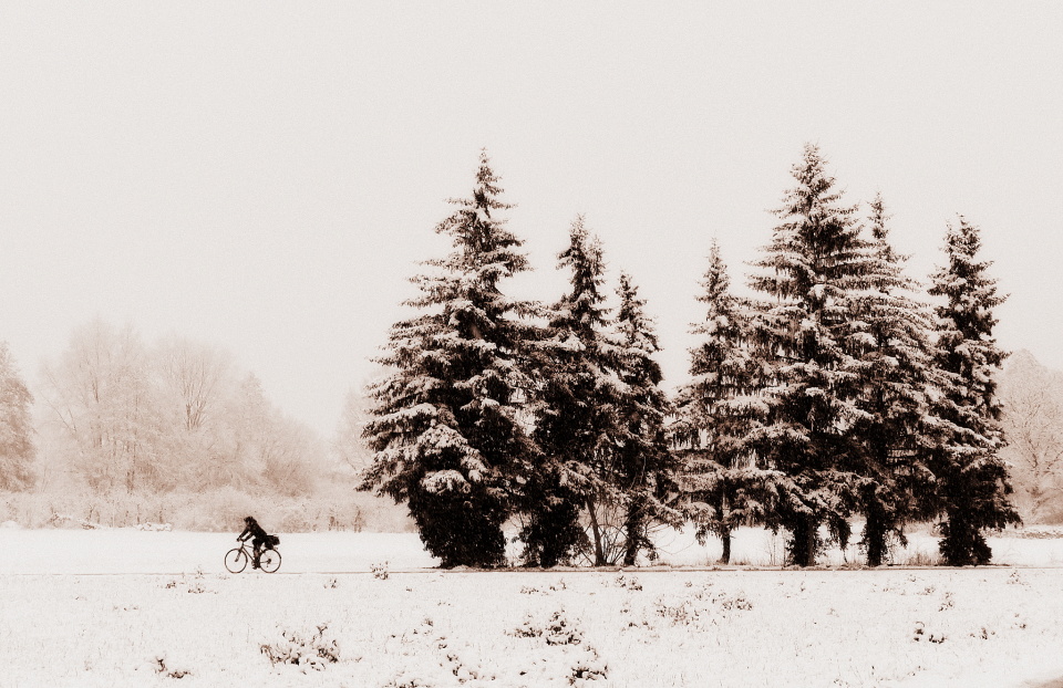  Winter is back