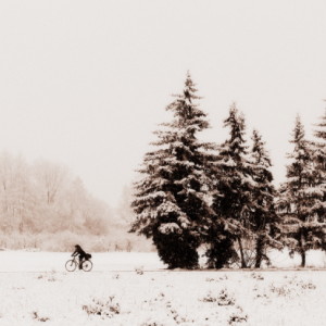  Winter is back