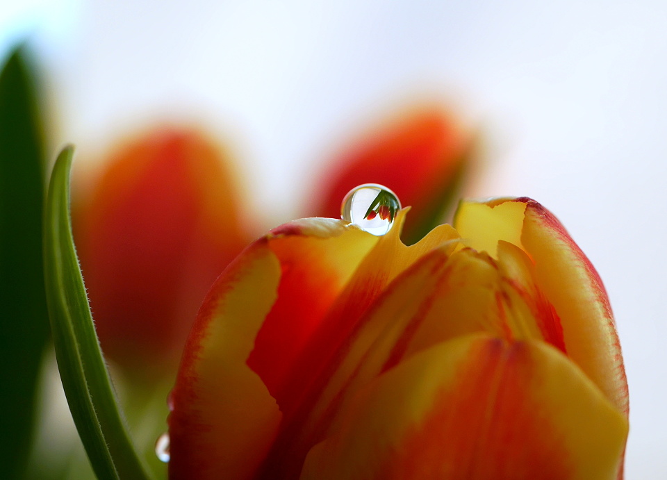  Experimenting with water drops ...