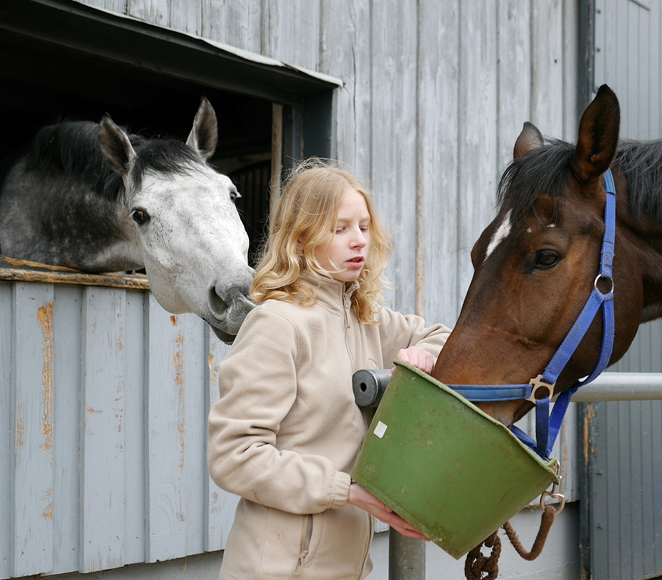  The grey horse had ...