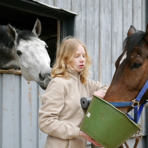  The grey horse had ...