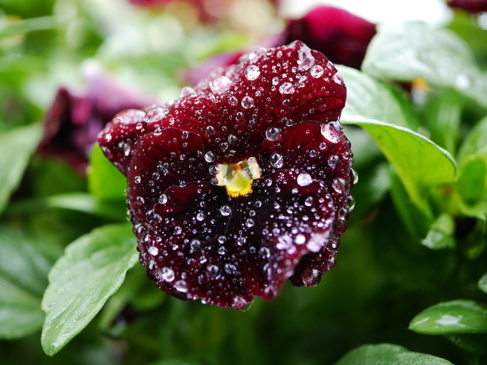 After hours of rain