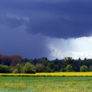  April weather - four ...