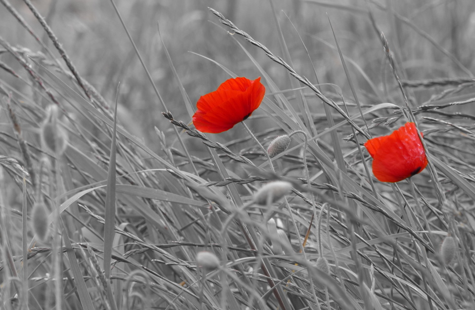 A grey & cold day