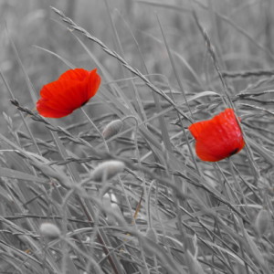 A grey & cold day