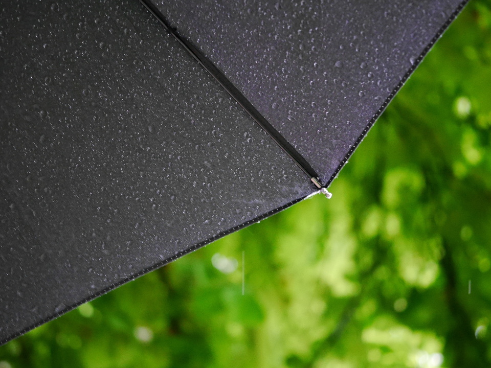 Rain