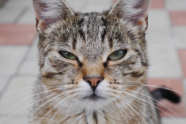  Our neighbour