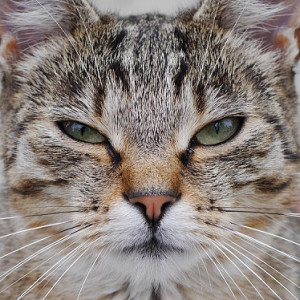  Our neighbour