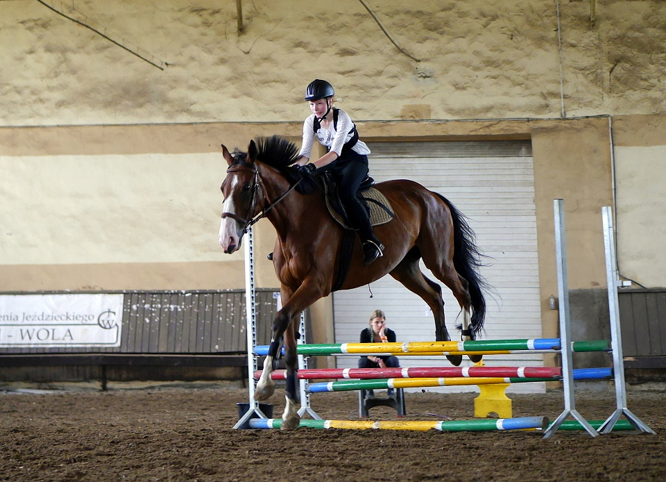 Apollo & Milena