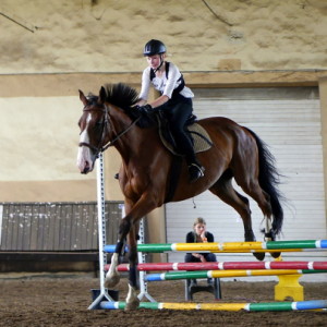 Apollo & Milena