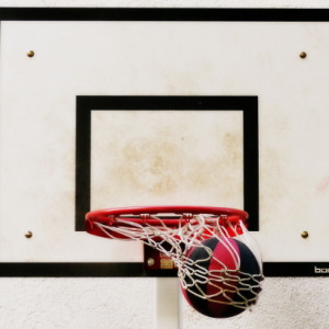 Nice shot