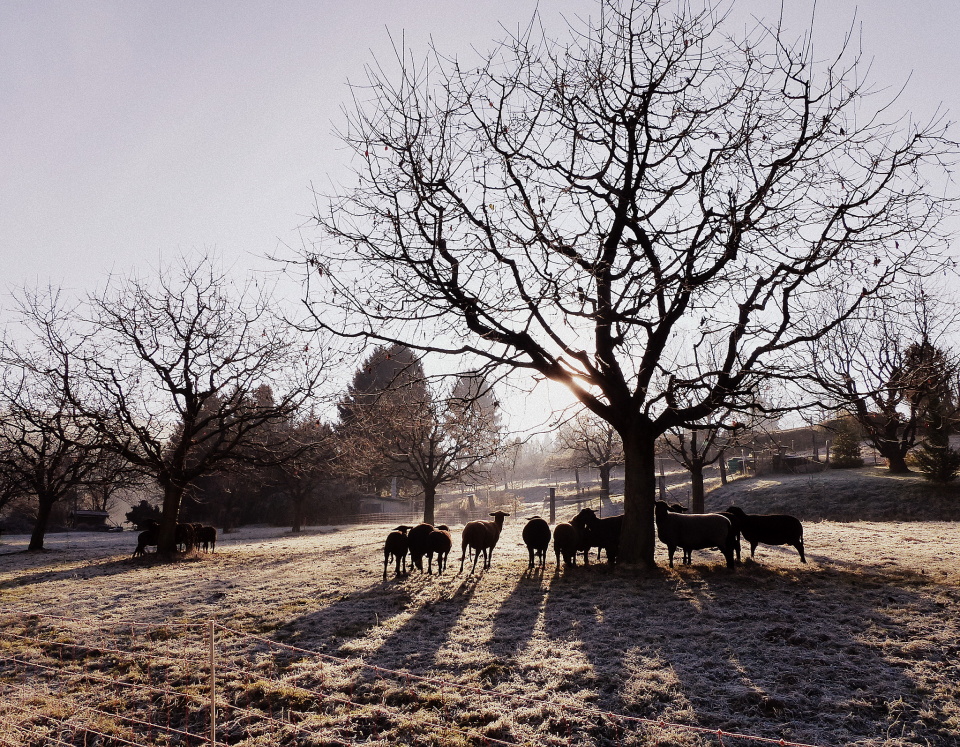  Another cold and sunny ...