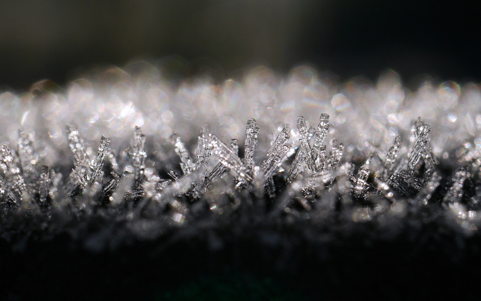 Frosty