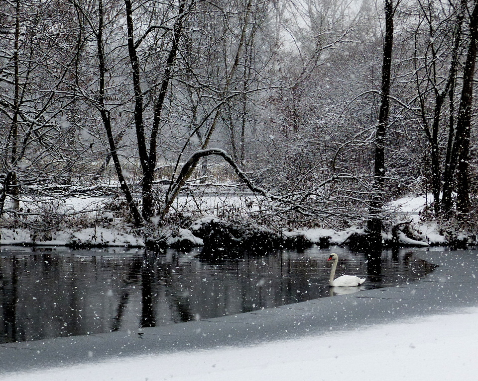  It has been snowing ...
