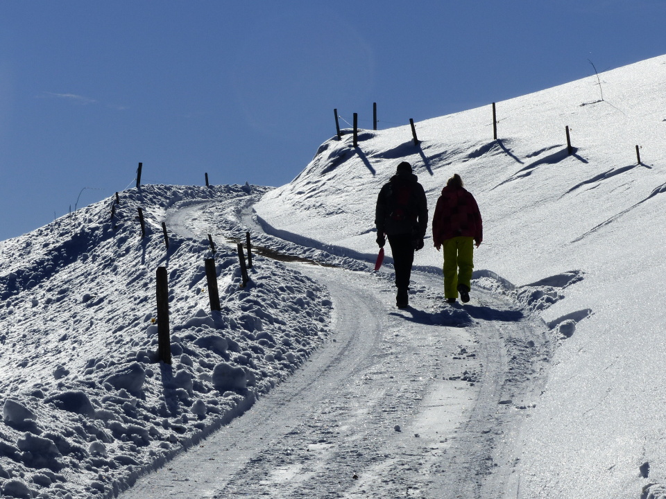 Winter walk