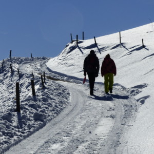Winter walk