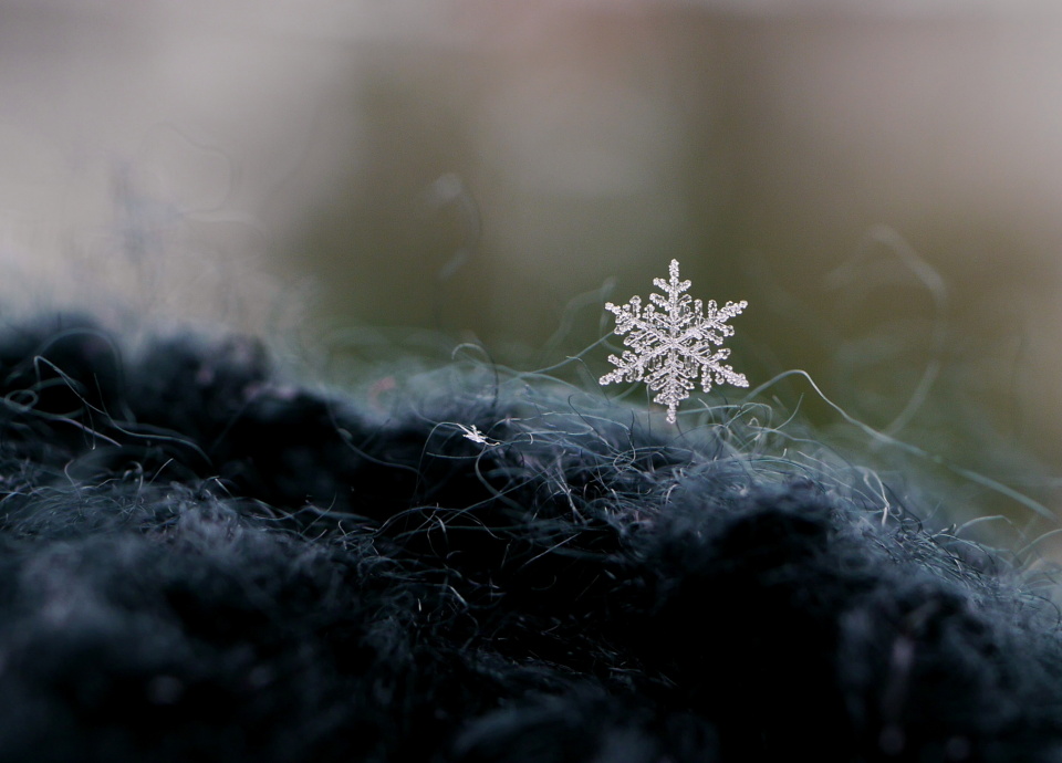 Snowflakes