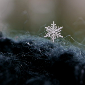 Snowflakes