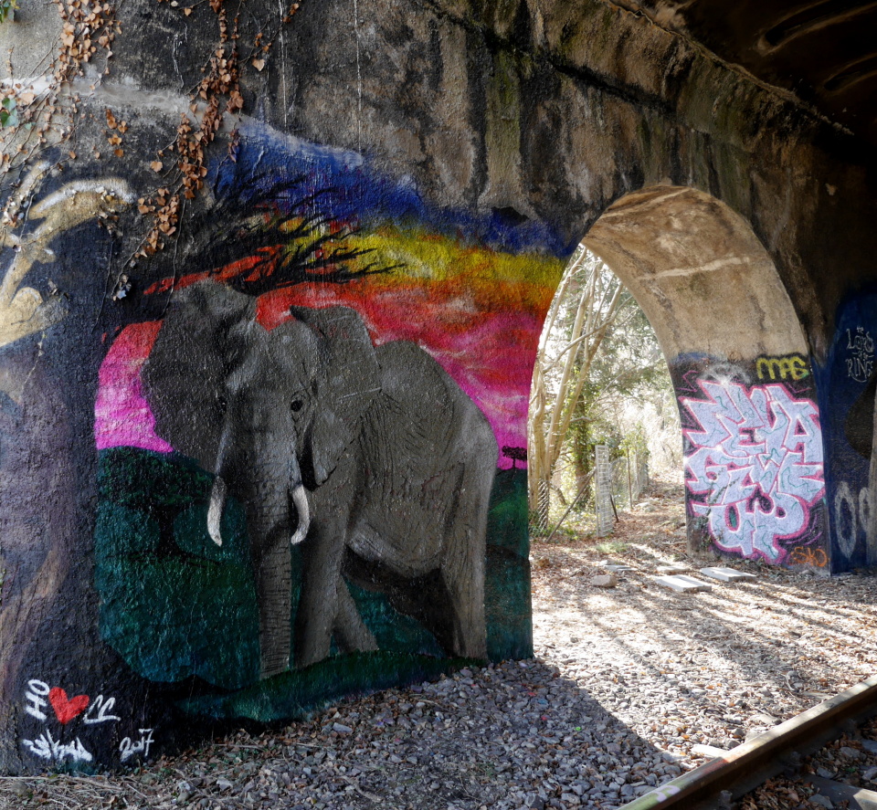  Jakub's latest graffiti. Today, ...