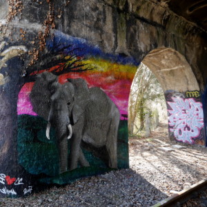  Jakub's latest graffiti. Today, ...