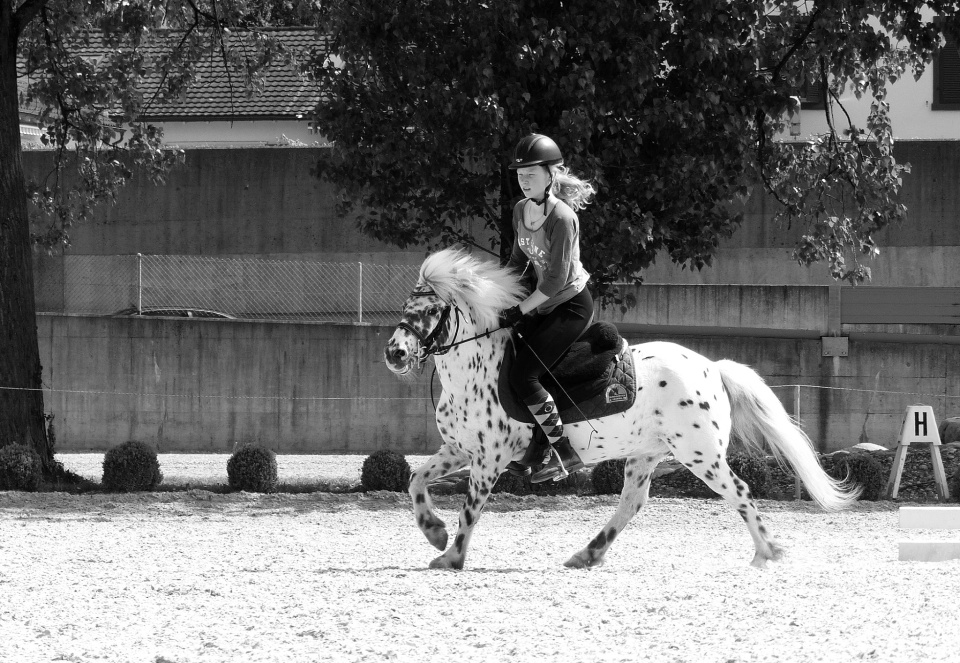 Sunny in action