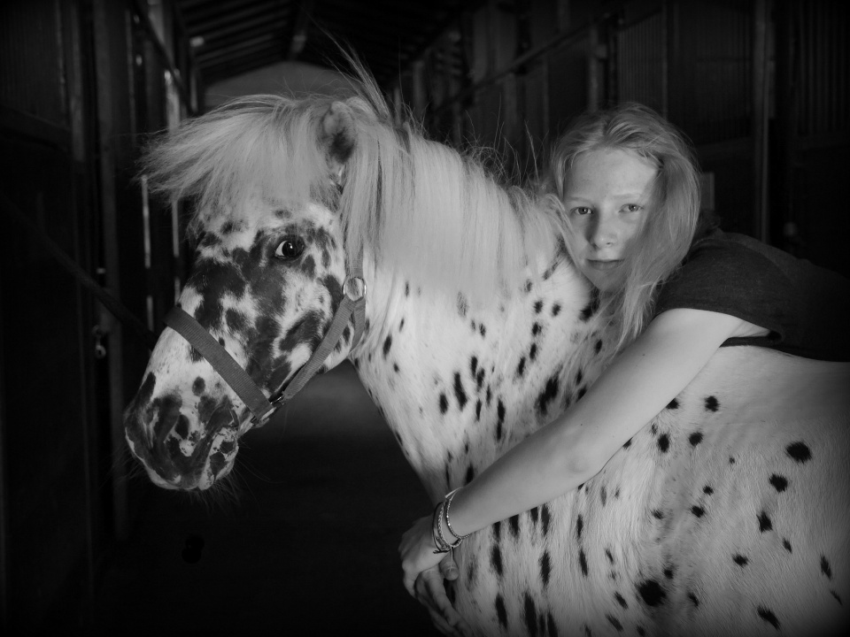  Sunny Pony