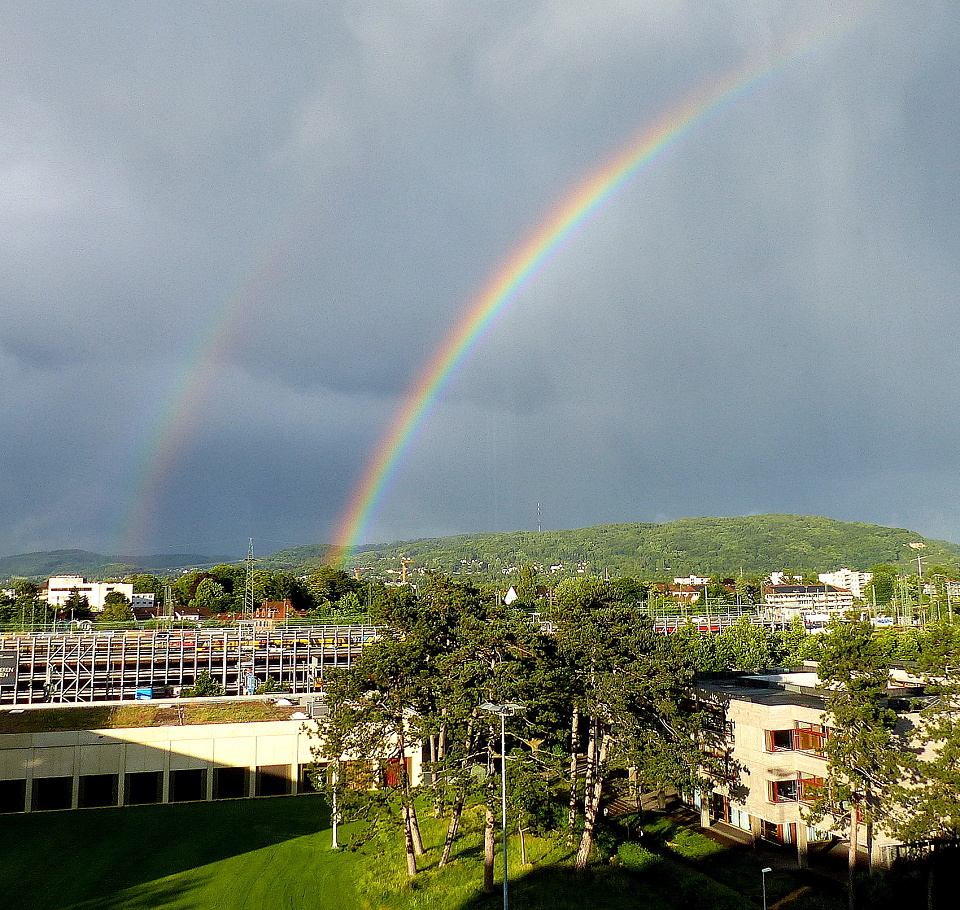  A colourful end to ...