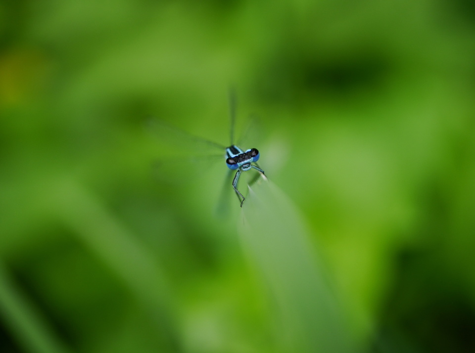Tiny&colourful