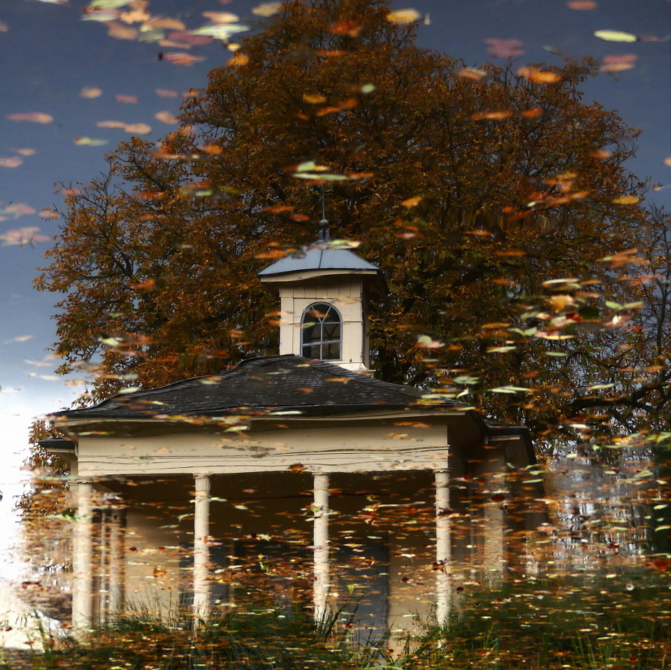 Autumn reflections