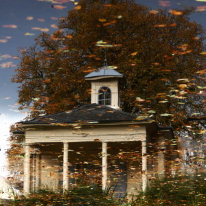 Autumn reflections