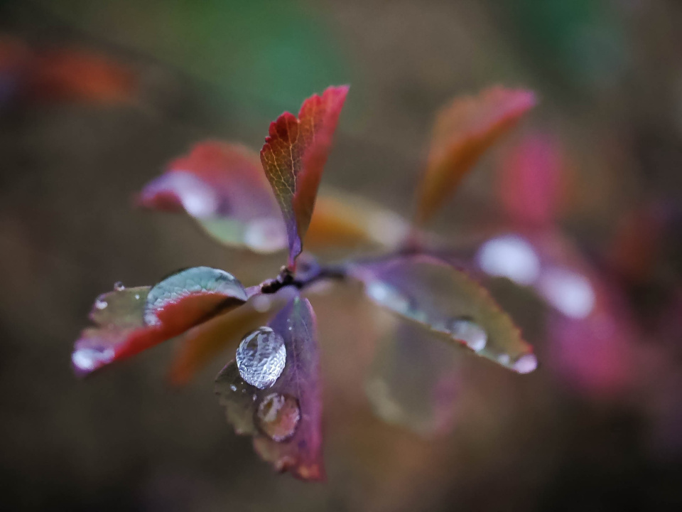 Cold and wet
