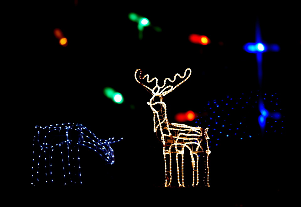  Beautiful Christmas decorations in ...