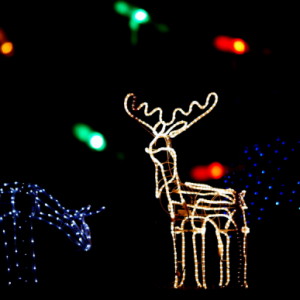  Beautiful Christmas decorations in ...