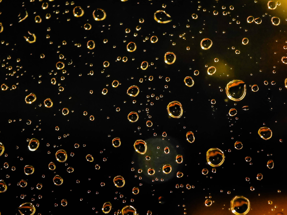  Another rainy day