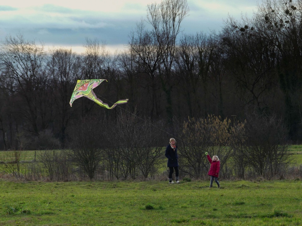 Windy