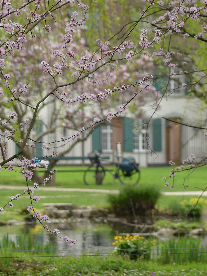  A few warm days ...