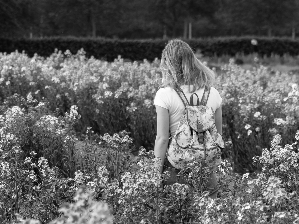 Fields of flowers