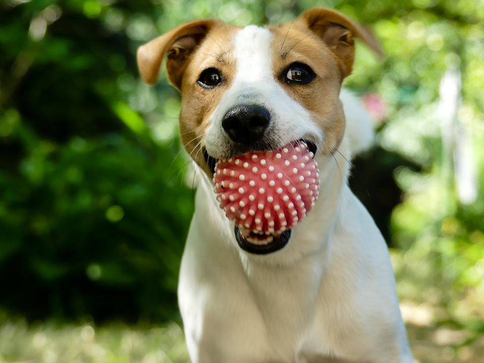 Playtime