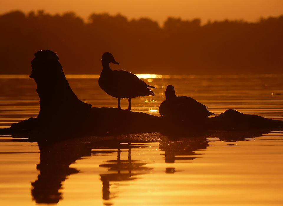 Sunset at Rusalka lake