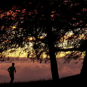 Evening runner
