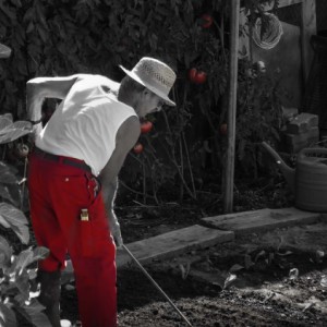 A passionate gardener