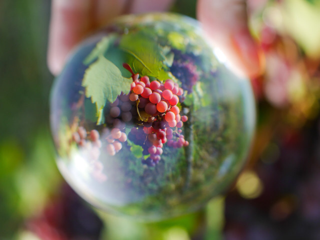 Lensball
