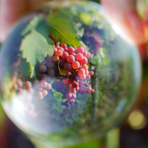 Lensball