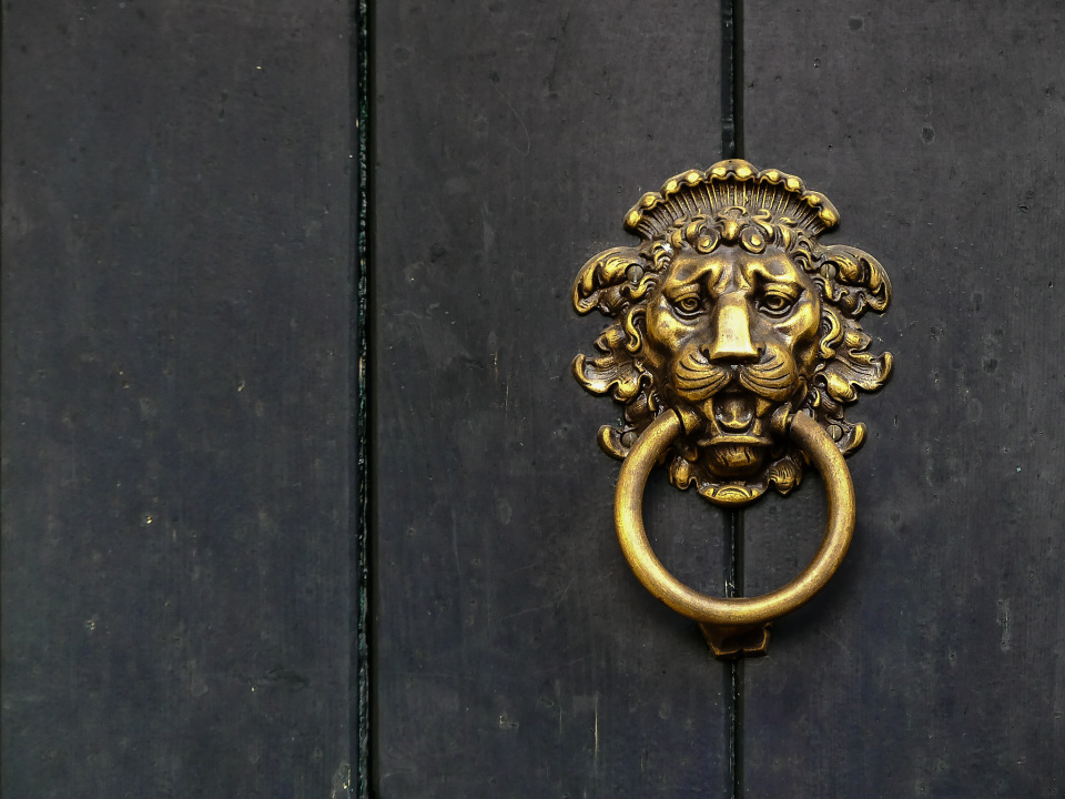 Lion door knocker